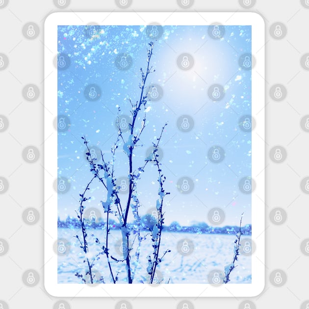 Tenderness of Winter No. 2 Sticker by asanaworld